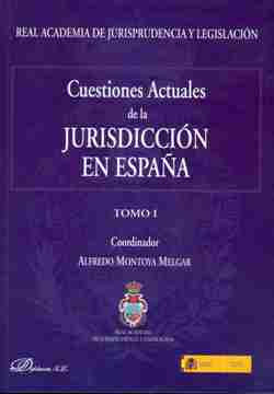 View details of CUESTIONES ACTUALES DE LA JURISDICCIÓN EN ESPAÑA (TOMOS I-II) 2009